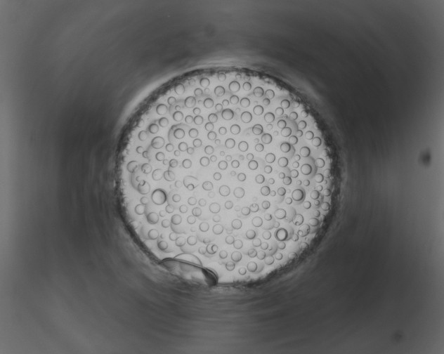 X0000115771216200912241743