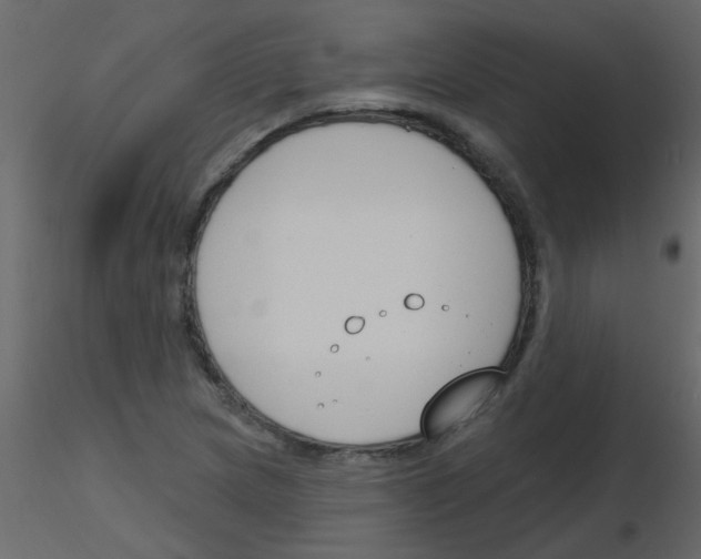 X0000115771217200912241743