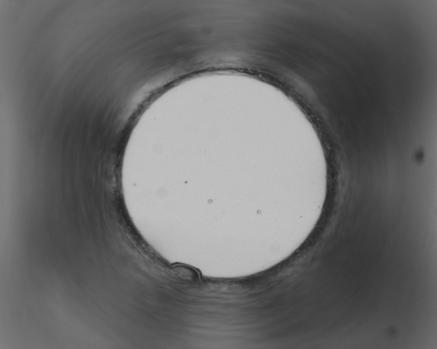 X0000115771218200912241743