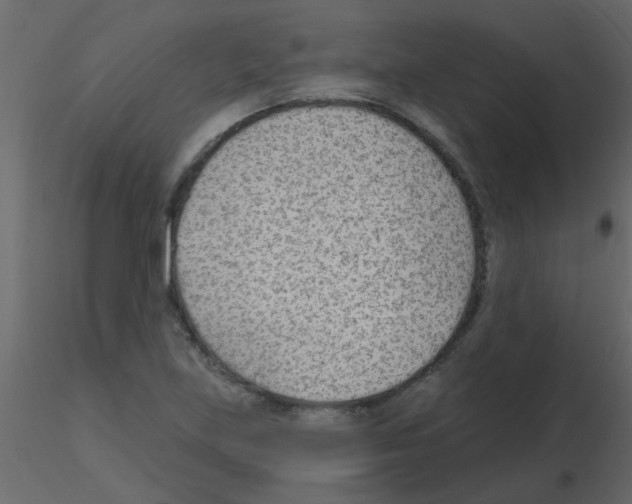 X0000115771219200912241743