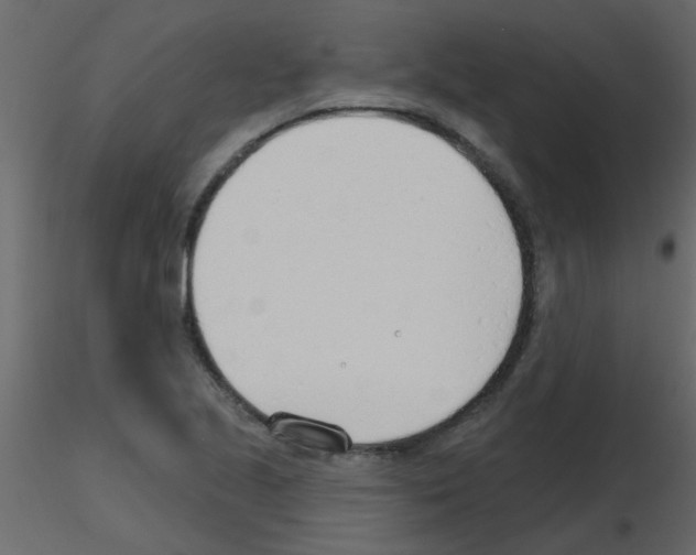 X0000115771221200912241743