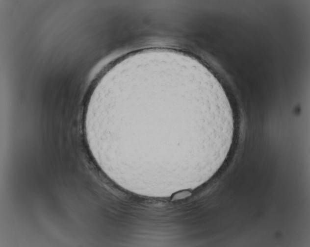 X0000115771222200912241743