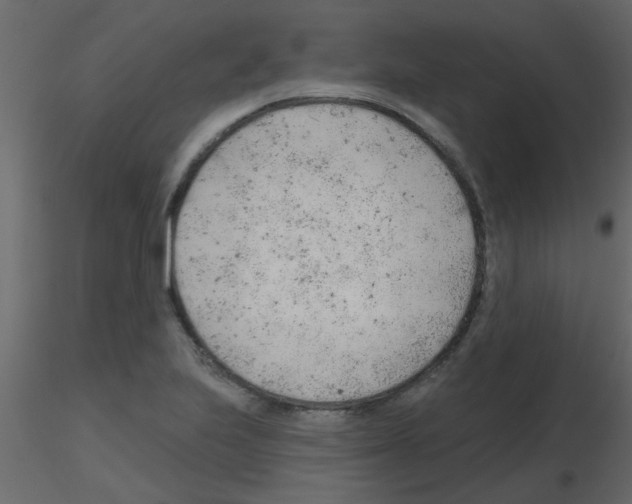 X0000115771223200912241743