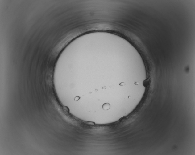 X0000115771225200912241743