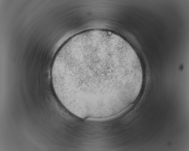 X0000115771226200912241743