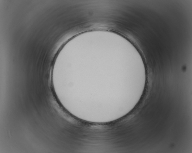 X0000115771227200912241743