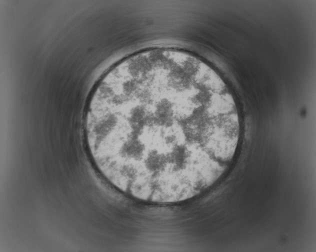 X0000115771229200912241743