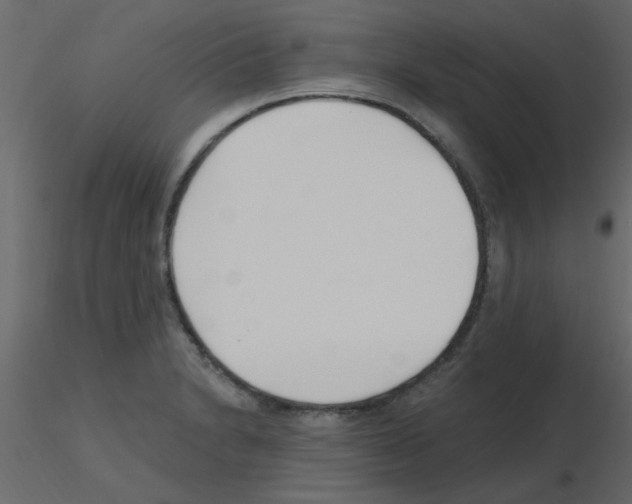 X0000115771230200912241743