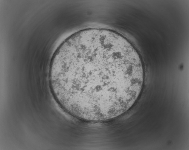 X0000115771231200912241743