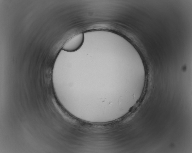 X0000115771233200912241743