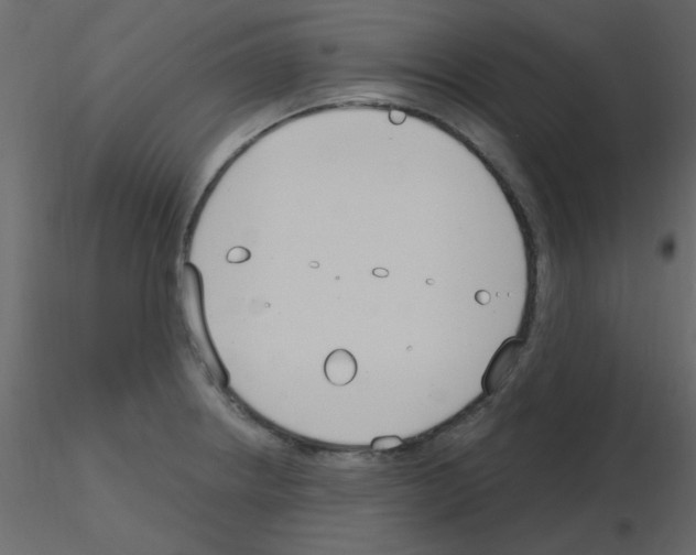 X0000115771234200912241743