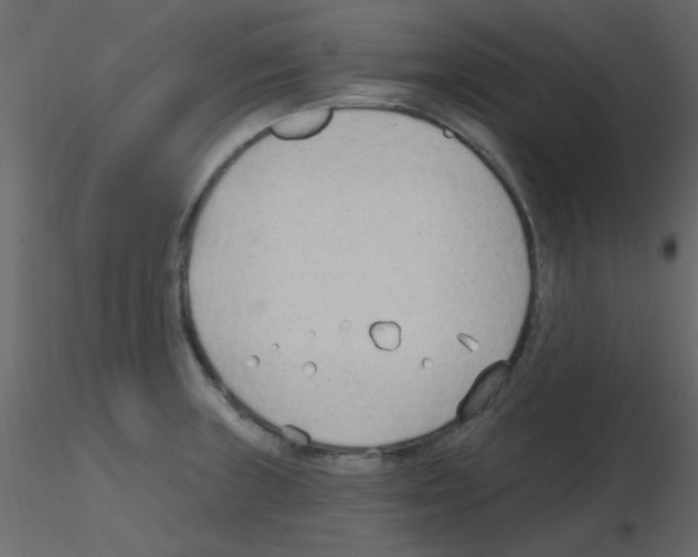 X0000115771235200912241743