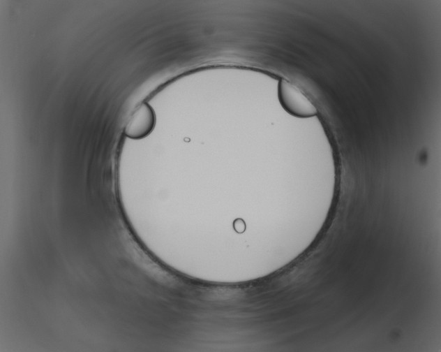 X0000115771238200912241743