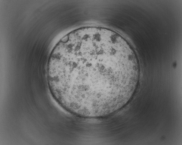 X0000115771239200912241743