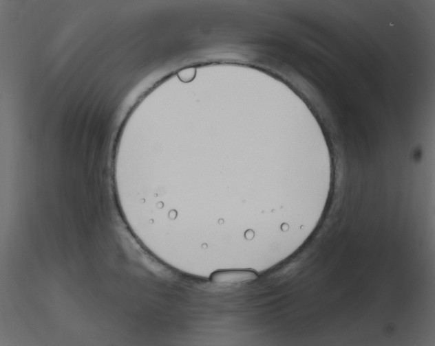 X0000115771240200912241743