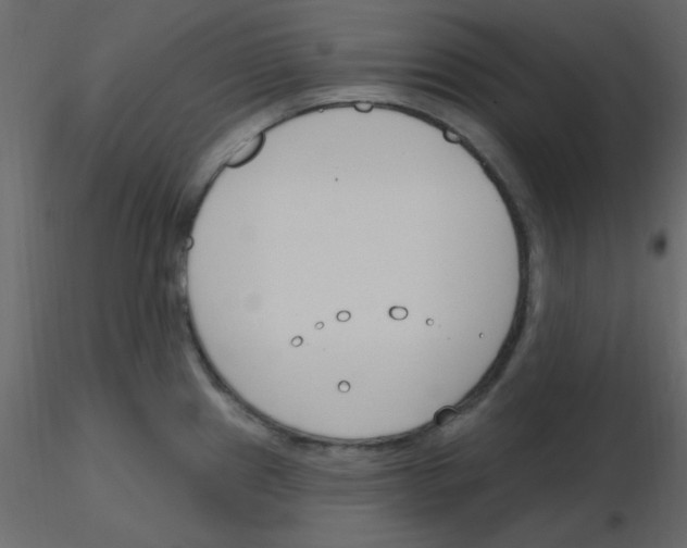 X0000115771241200912241743