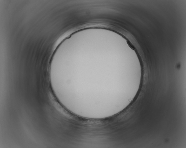 X0000115771242200912241743