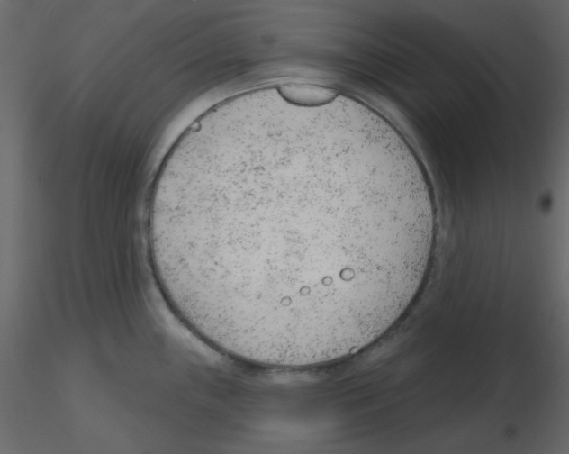 X0000115771243200912241743