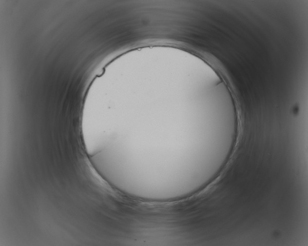 X0000115771244200912241743