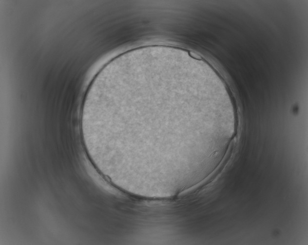 X0000115771246200912241743
