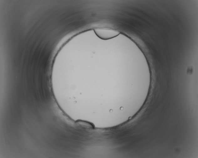 X0000115771248200912241743