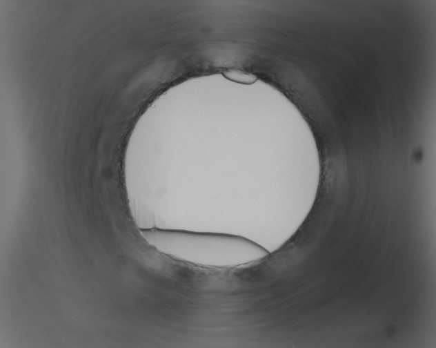 X0000115771249200912241742