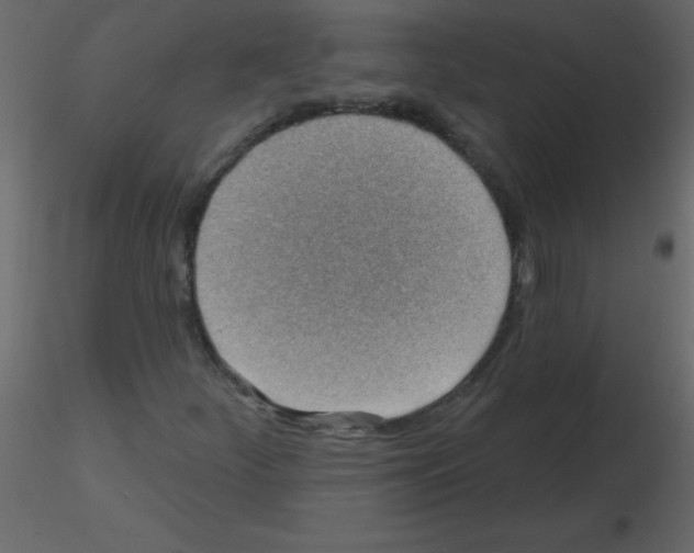 X0000115771252200912241742