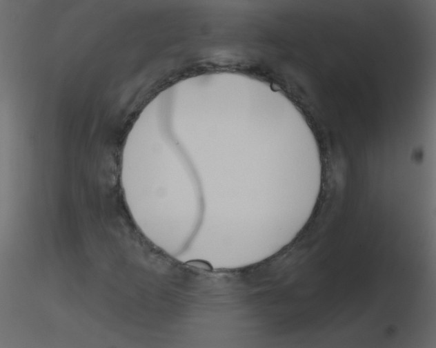 X0000115771253200912241742