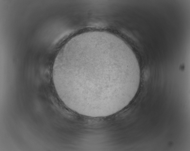 X0000115771254200912241742
