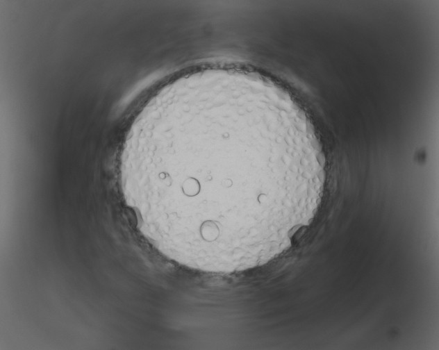 X0000115771255200912241742
