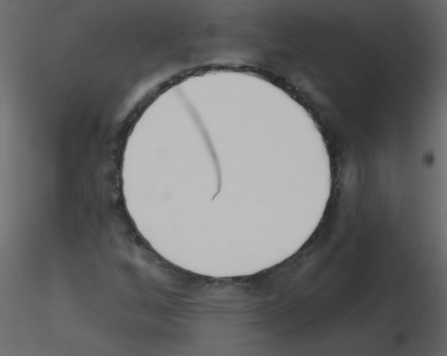 X0000115771256200912241742