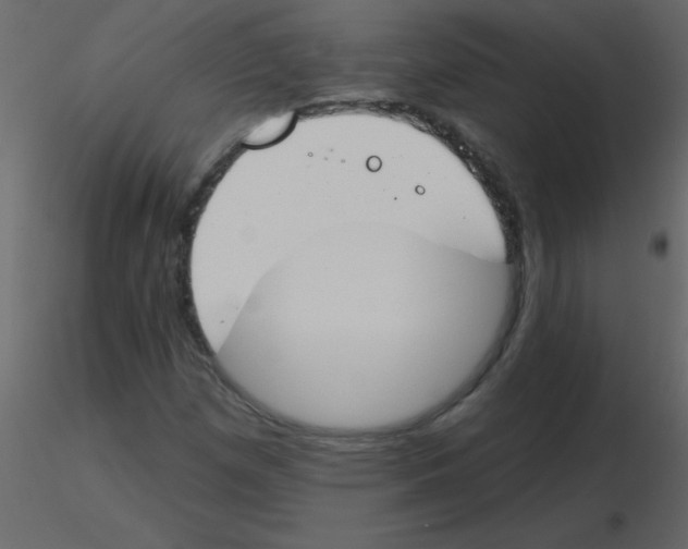 X0000115771257200912241742