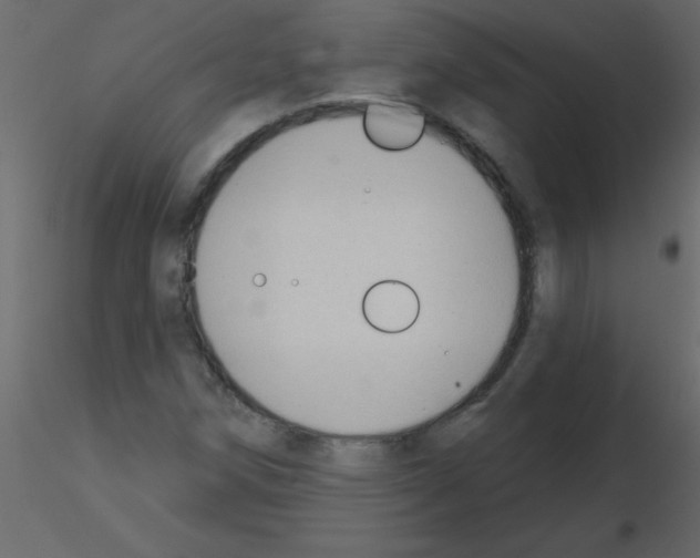 X0000115771258200912241742