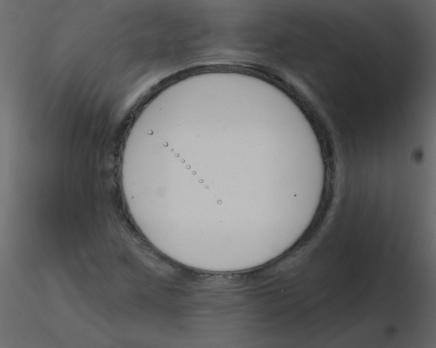 X0000115771259200912241742