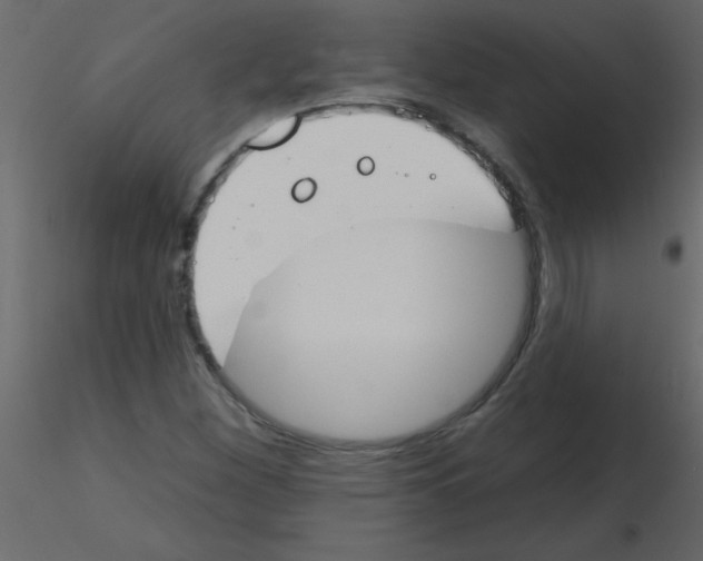 X0000115771260200912241742