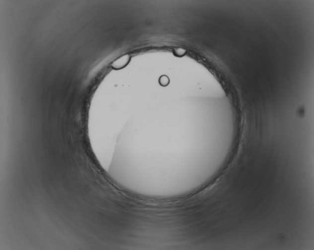 X0000115771261200912241742