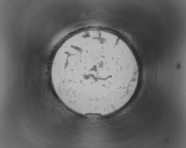 X0000115771263200912241742