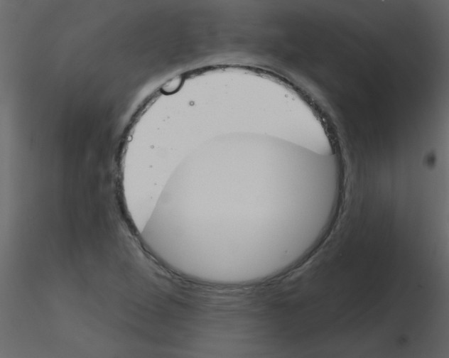 X0000115771264200912241742