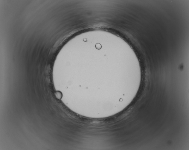X0000115771265200912241742
