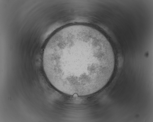 X0000115771266200912241742