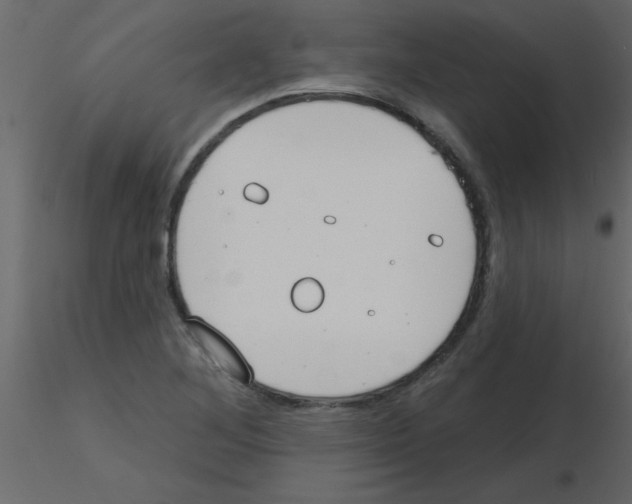 X0000115771268200912241742