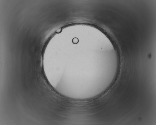 X0000115771269200912241742