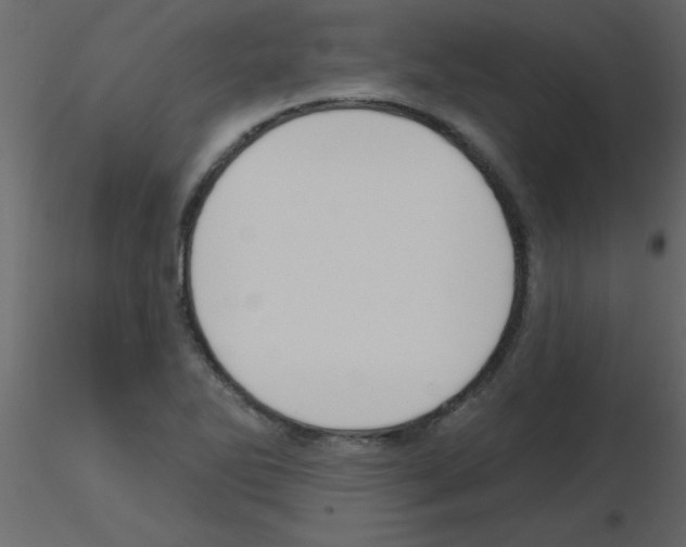 X0000115771270200912241742