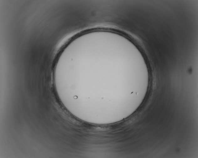 X0000115771271200912241742