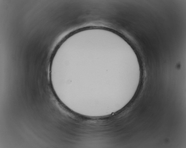X0000115771272200912241742