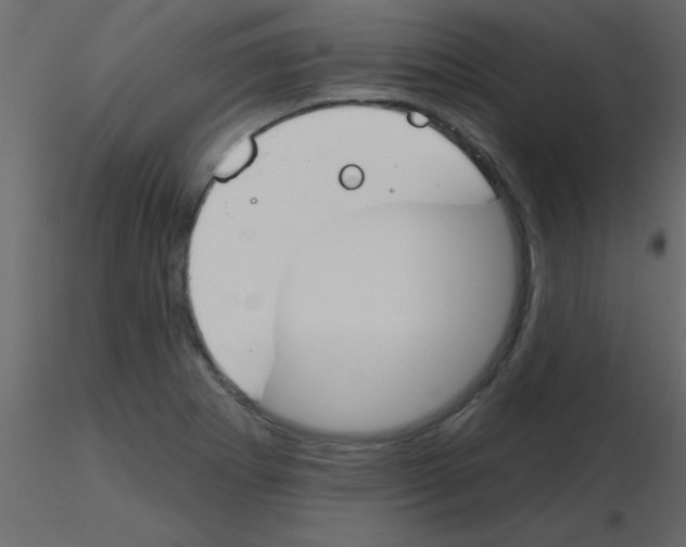 X0000115771273200912241742