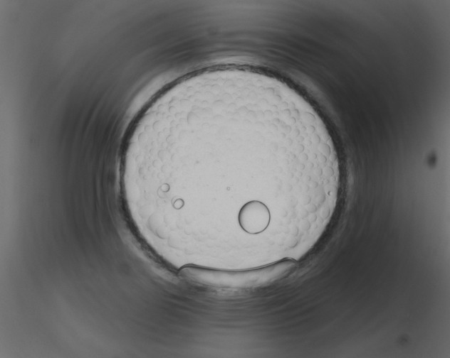 X0000115771274200912241742