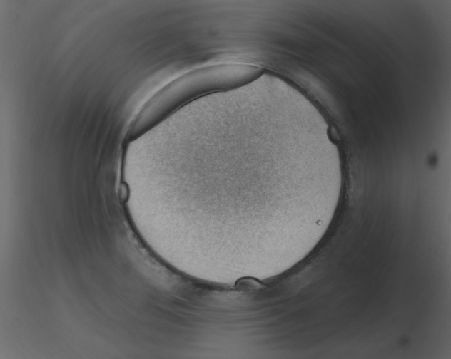X0000115771276200912241742