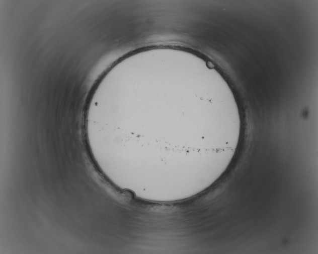 X0000115771277200912241742