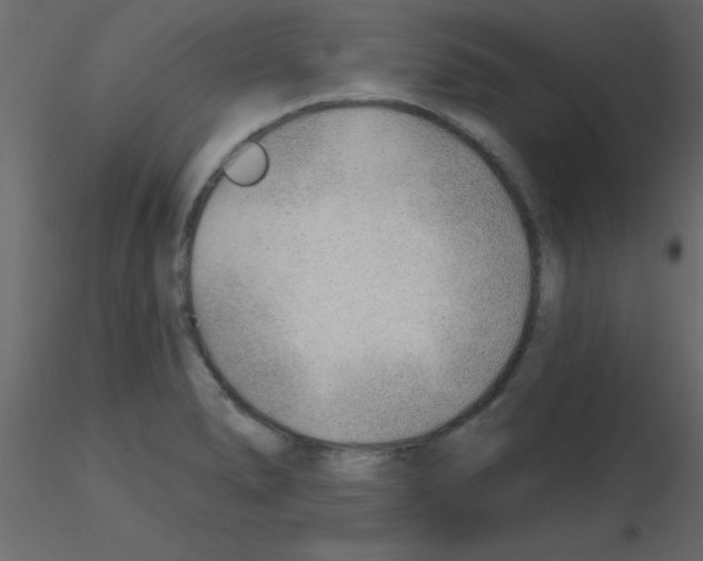 X0000115771278200912241742